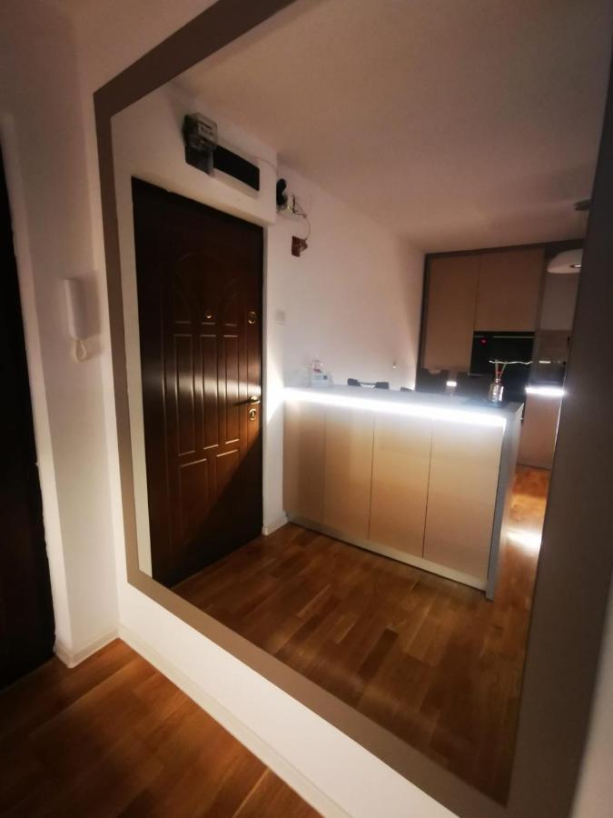 Luxury Apartment. 10 Minutes Taxi Ride To Center Тимишоара Экстерьер фото